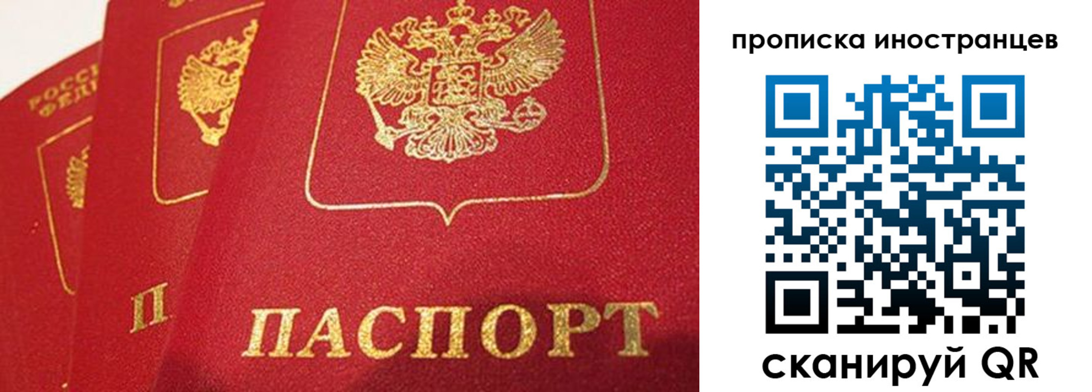 прописка поиск в Краснодарском крае